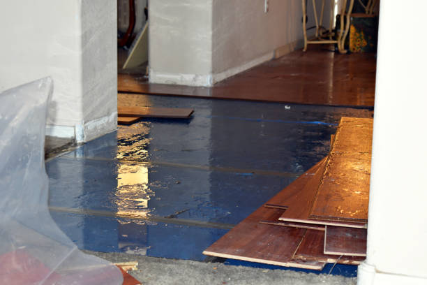 Professional Water Damage Restoration technician working in Fairgrove, MI